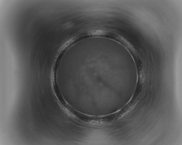 X0000116450725200912081617
