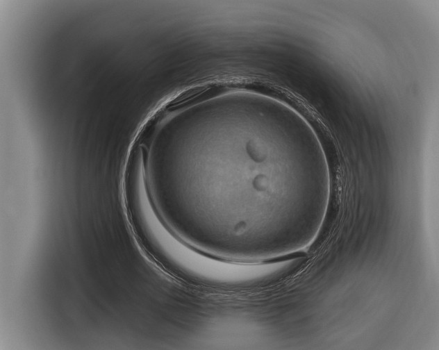 X0000116450726200912081617