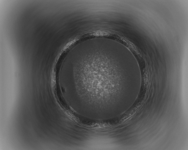 X0000116450727200912081617
