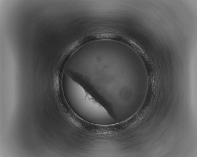 X0000116450729200912081617