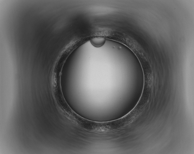 X0000116450731200912081617