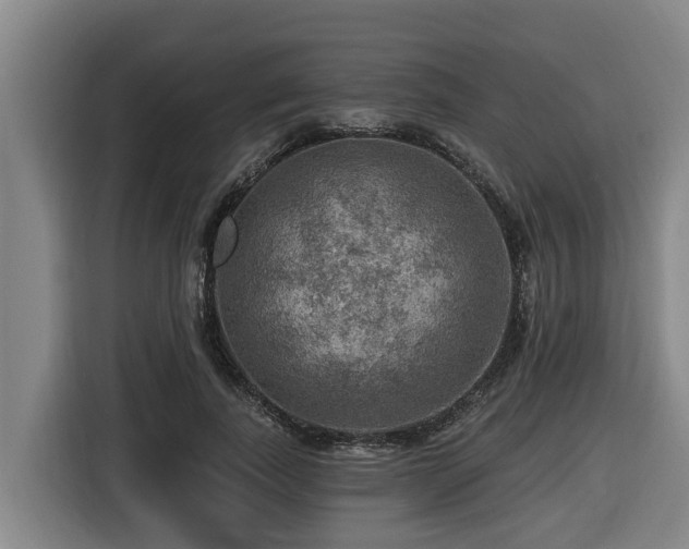 X0000116450739200912081618