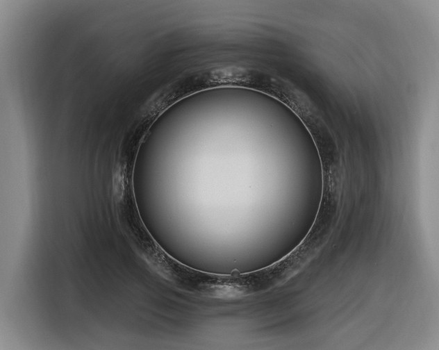 X0000116450741200912081618