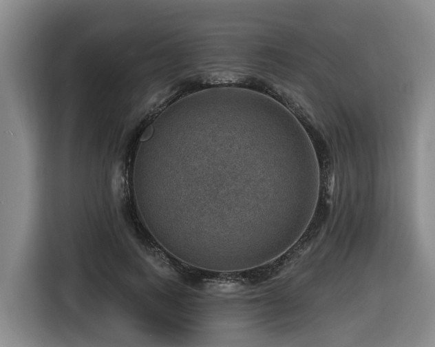 X0000116450743200912081618