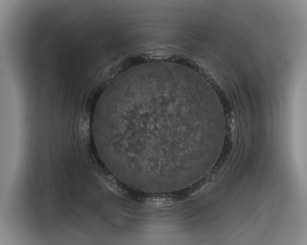 X0000116450745200912081618
