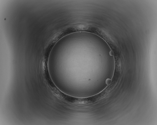 X0000116450746200912081618