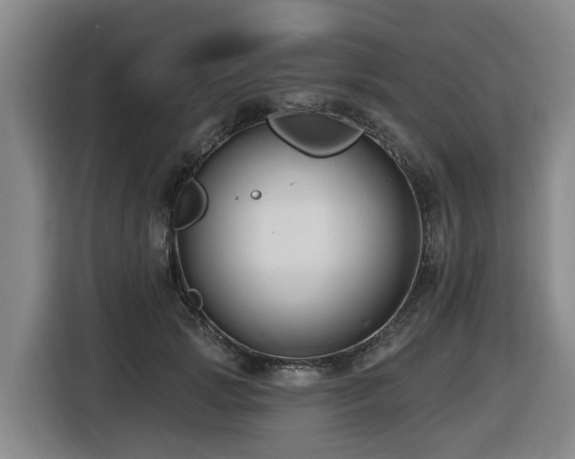 X0000116450749200912081618