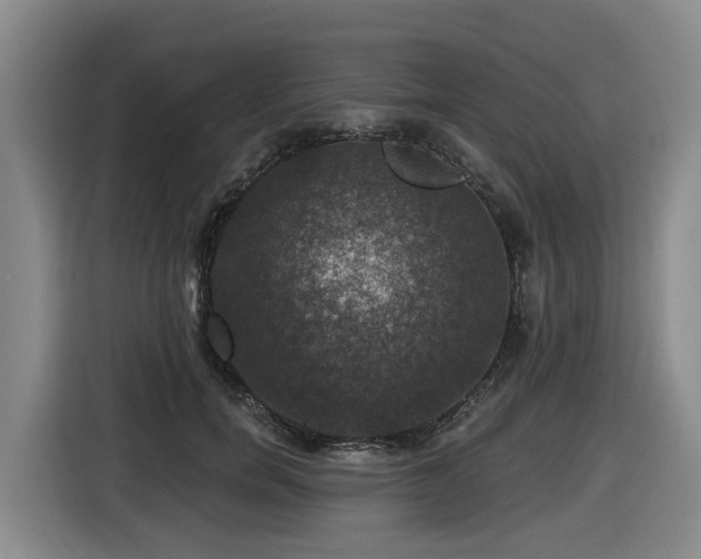 X0000116450750200912081618