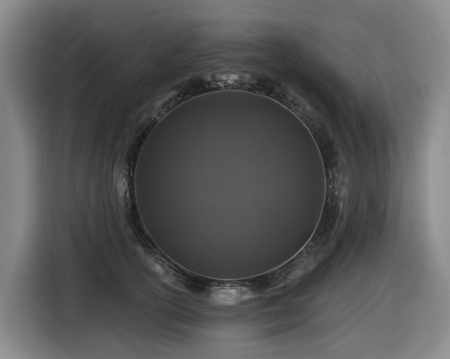 X0000116450754200912081618