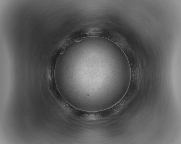 X0000116450755200912081618