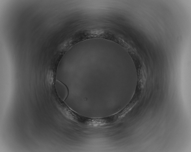 X0000116450758200912081618