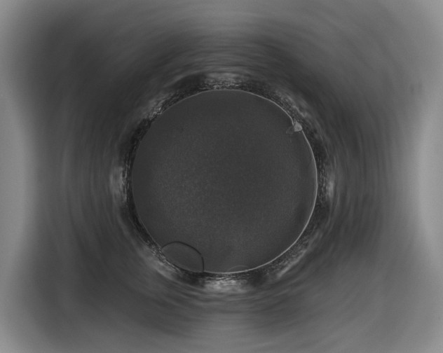X0000116450759200912081618