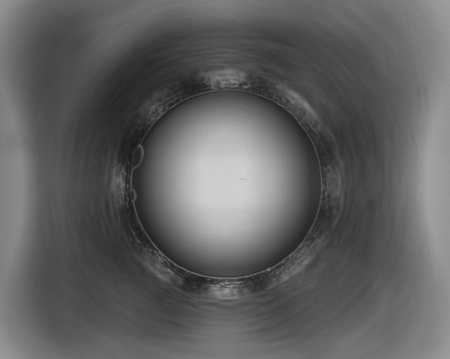 X0000116450761200912081618