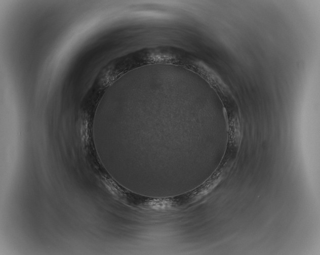 X0000116450762200912081618