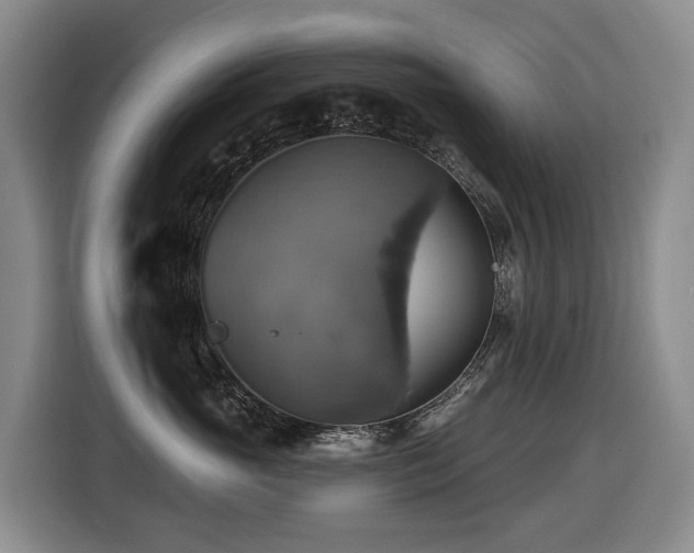 X0000116450765200912081618