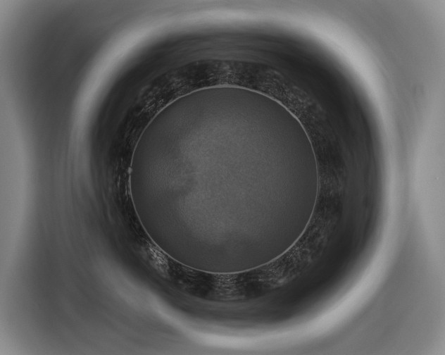 X0000116450766200912081618