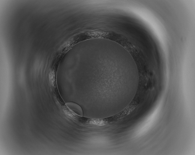 X0000116450767200912081618