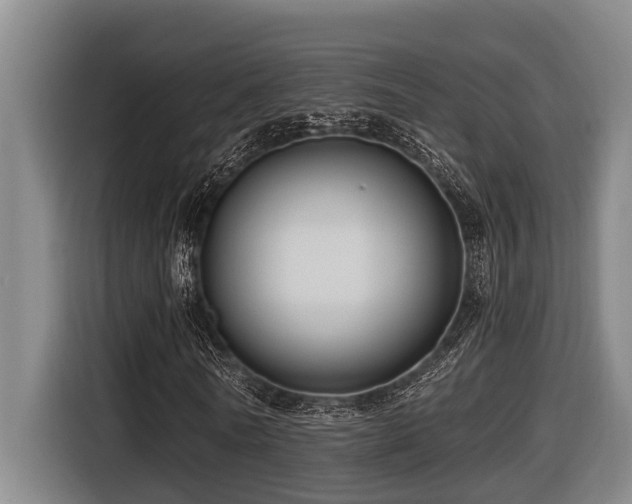 X0000116450770200912081617
