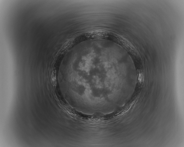X0000116450771200912081617