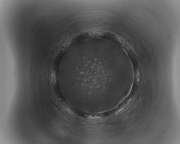 X0000116450772200912081617