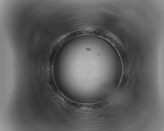 X0000116450773200912081617