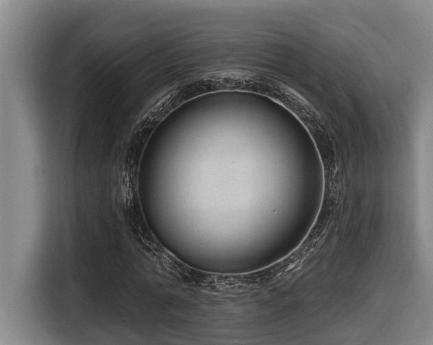 X0000116450774200912081617