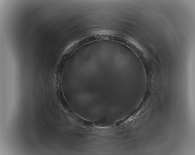 X0000116450775200912081617