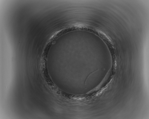 X0000116450776200912081617
