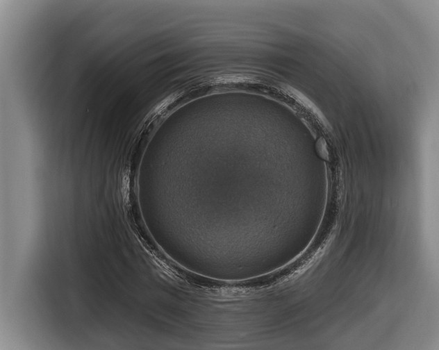 X0000116450777200912081617
