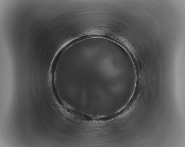 X0000116450779200912081617