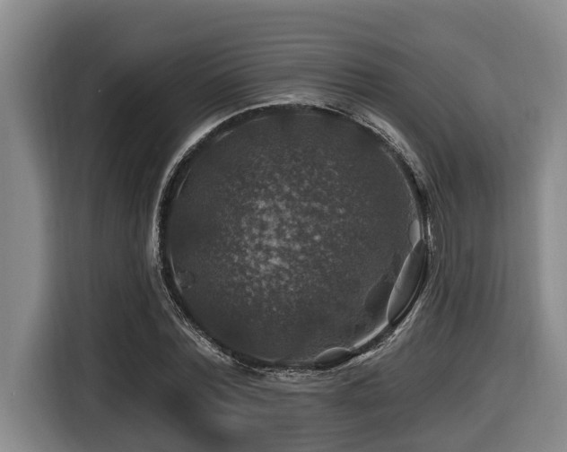 X0000116450780200912081617