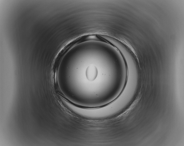 X0000116450781200912081617