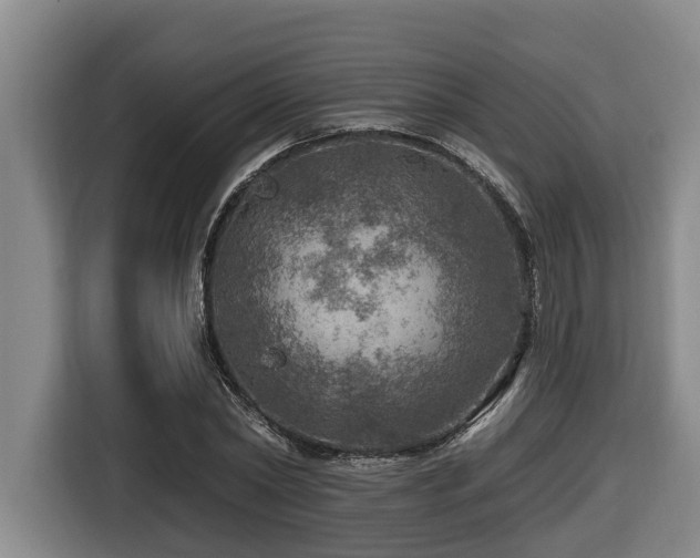 X0000116450782200912081617