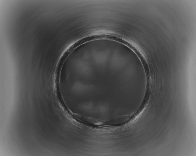 X0000116450783200912081617