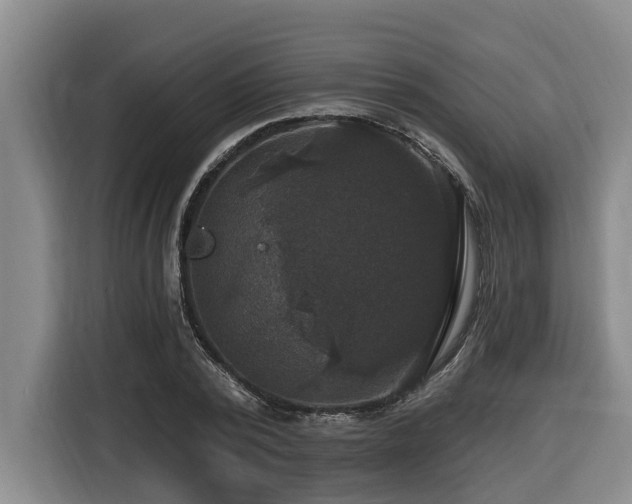 X0000116450784200912081617