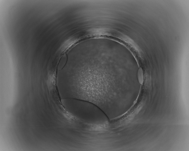 X0000116450785200912081617