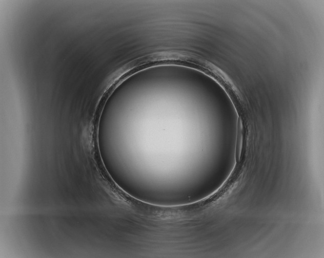 X0000116450786200912081617