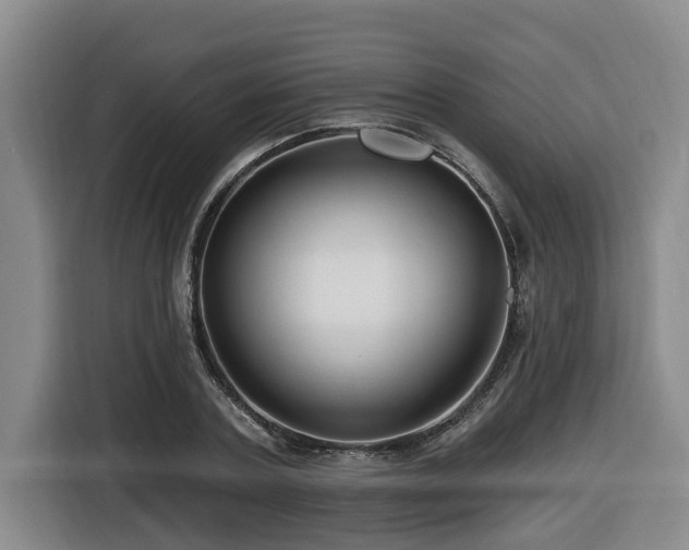 X0000116450787200912081617
