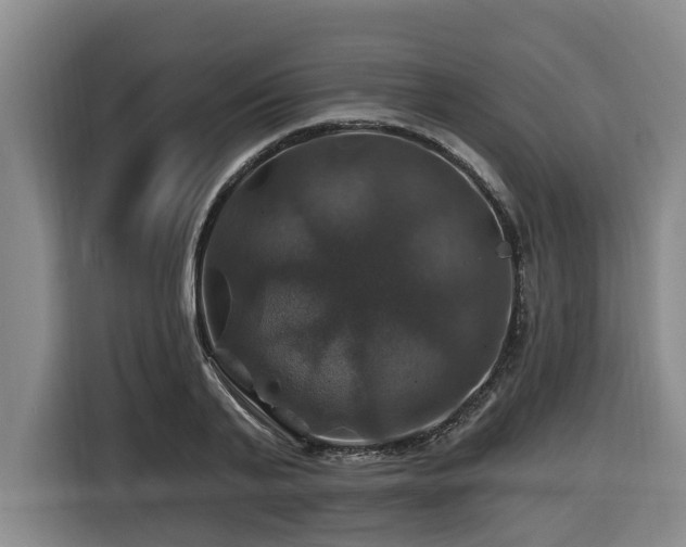 X0000116450791200912081617
