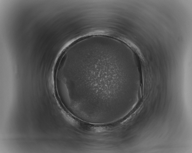X0000116450792200912081617