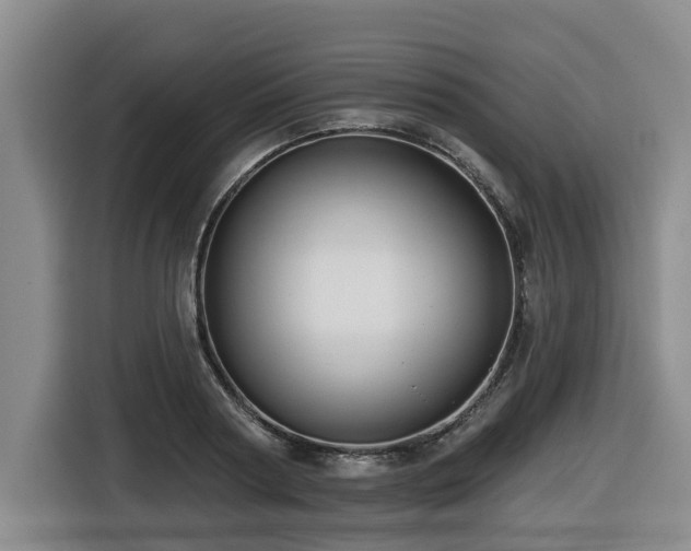 X0000116450794200912081617