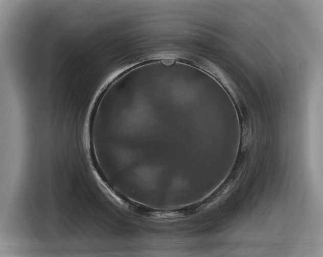 X0000116450795200912081617