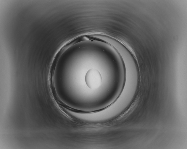 X0000116450797200912081617