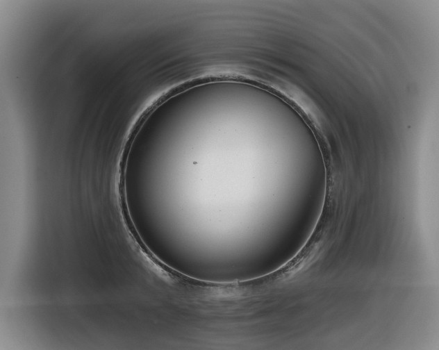 X0000116450799200912081617