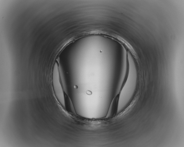 X0000116450801200912081617