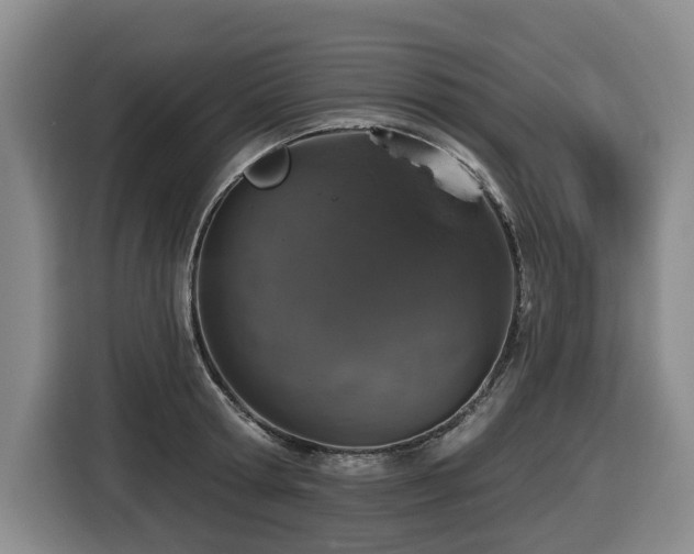 X0000116450802200912081617