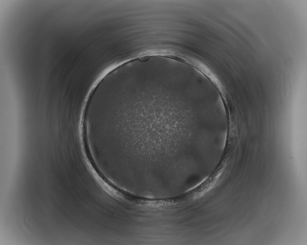 X0000116450803200912081617