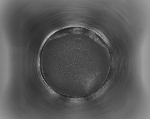 X0000116450804200912081617
