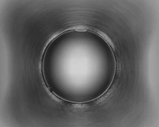 X0000116450805200912081617