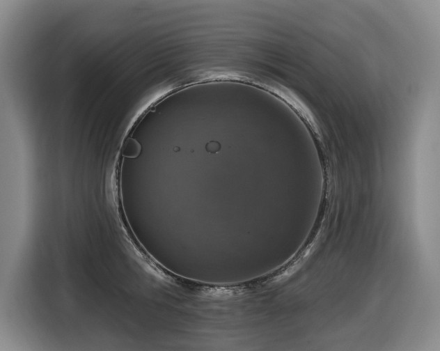 X0000116450806200912081617